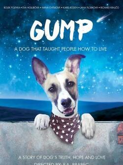 постер Гамп - пёс, который научил людей жить